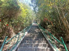 -大围山国家森林公园