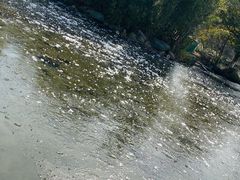 -白马涧龙池景区