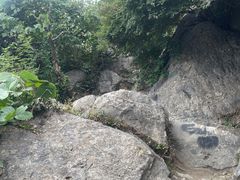 -妙峰山风景名胜区