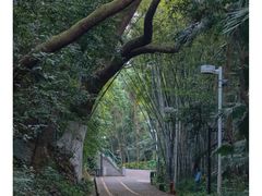 -中山公园(石岐街道)