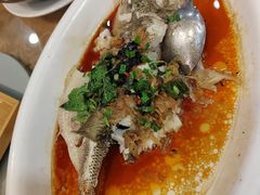 油浸鲈鱼-永記粤菜·五指毛桃花雕鸡煲(九亭店)