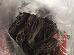 -洪记白水羊头(天坛店)