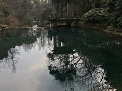 -九墅庭院餐厅(九溪徐村店)