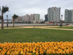 -野狸岛
