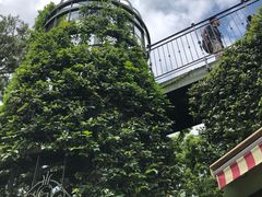 -三鹰之森吉卜力美术馆