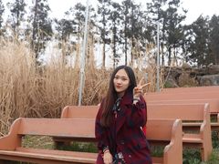 -柑橘农场