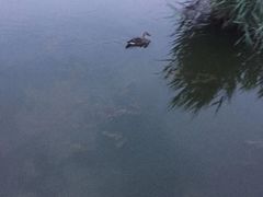 -前关湿地公园