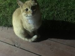 -思念果岭悦温泉