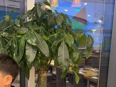 -鼎泰丰(嘉年华•海信广场VILLAGE店)