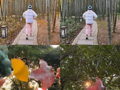 -杭州黄龙洞