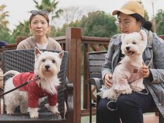 -浦鸿会游泳健身中心·Ambassy Club PD(金桥碧云国际社区店)