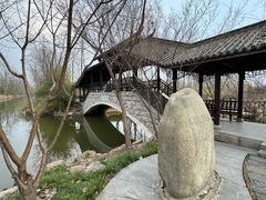 -合肥滨湖国家森林公园