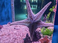 -蓬莱欧乐堡海洋极地世界