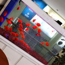 -成都军建医院·疤痕诊疗中心