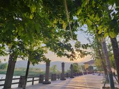 -鸣鹤古镇