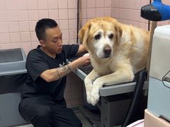 -FAELING PETS美天灵宠物(富力广场店)