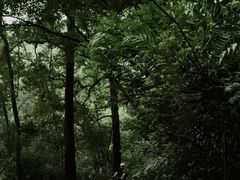 -番禺大夫山森林公园