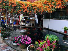 -寻味顺德·南记酒家·传统顺德菜·鱼生(广源路店)