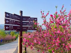 -北京西山国家森林公园