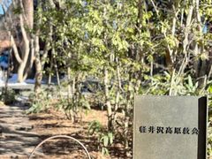 -轻井泽高原教堂