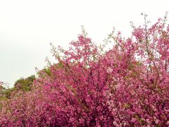 -九里河湿地公园