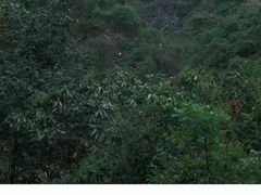 -庐山风景名胜区