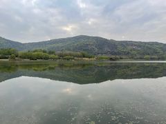 -长广溪湿地公园