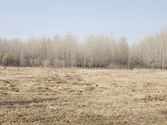 -东郊湿地公园