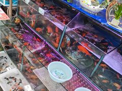 -曲阳花鸟市场(曲阳路店)