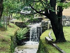 -奈良公园