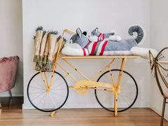 -Husky Go! 哈士奇体验馆·宠物咖啡厅狗咖