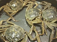 -铁板诱惑法式铁板烧(大卫城店)