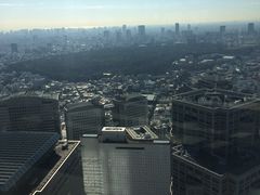 -东京都厅舍