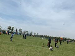 -春花秋色城市公园