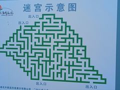 -上海鲜花港