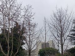 -西南交通大学(九里校区)