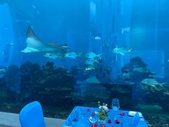 -海棠湾洲际-涛·海底餐厅·美人鱼·自助餐·海底隧道
