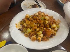 -邵年鸽(杨庄店)