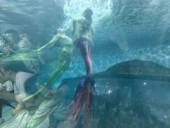 -苏州海洋馆