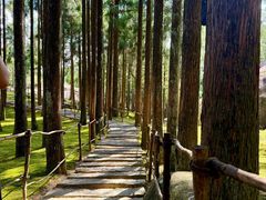 -玉苍山国家森林公园