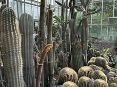 -国家植物园南园