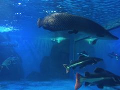 -多彩贵州城极地海洋世界