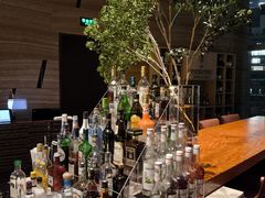 -君悦酒店·大堂酒吧·高空下午茶·暮色微醺