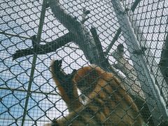 -西安秦岭野生动物园