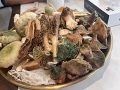 -七采菌园·野生菌石锅鱼(环城北路店)