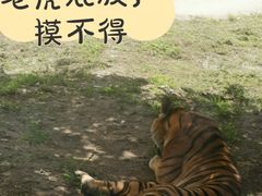 -齐齐哈尔龙沙动植物园