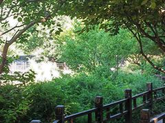 -国家植物园南园