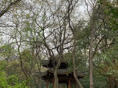 -采石矶景区