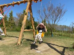 -黄海国家森林公园