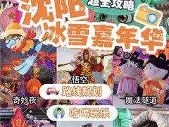 -沈阳奥体冰雪嘉年华